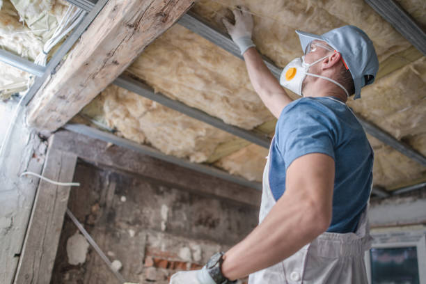 Best Cellulose Insulation in Fair Lakes, VA